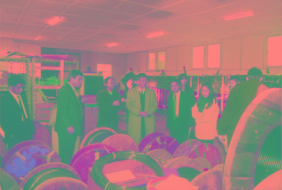 公司領(lǐng)導(dǎo)考察德國GESO公司